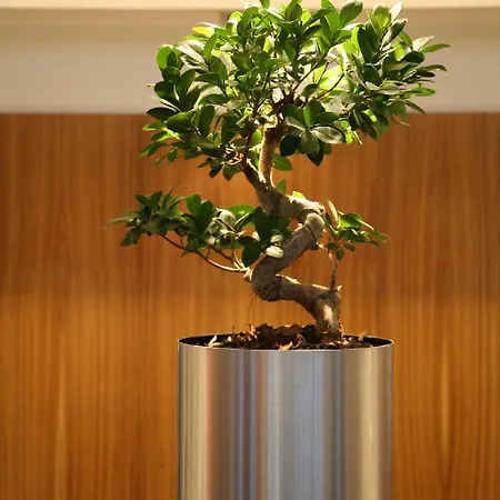 Hilton Lille